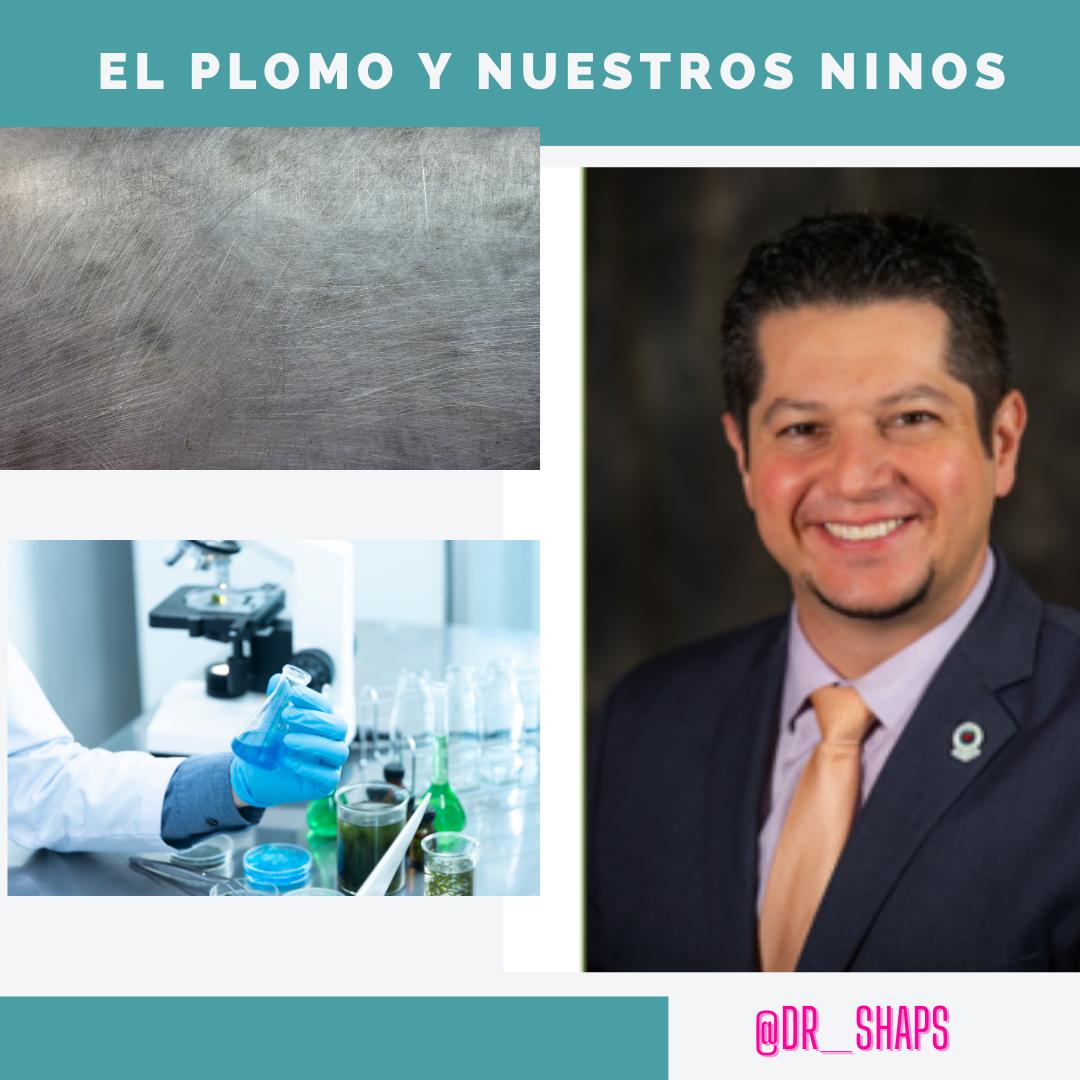 Plomo en nuestras vidas? / Lead in our lives?